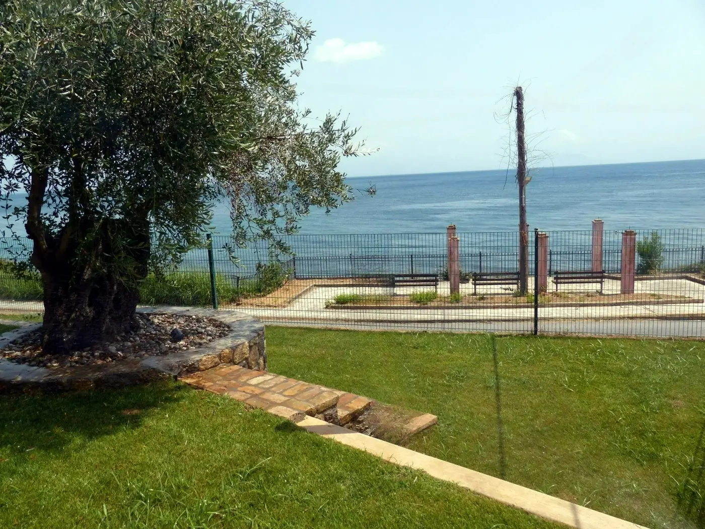 Chillout Luxury Apartments Korfu – Garten mit Olivenbaum