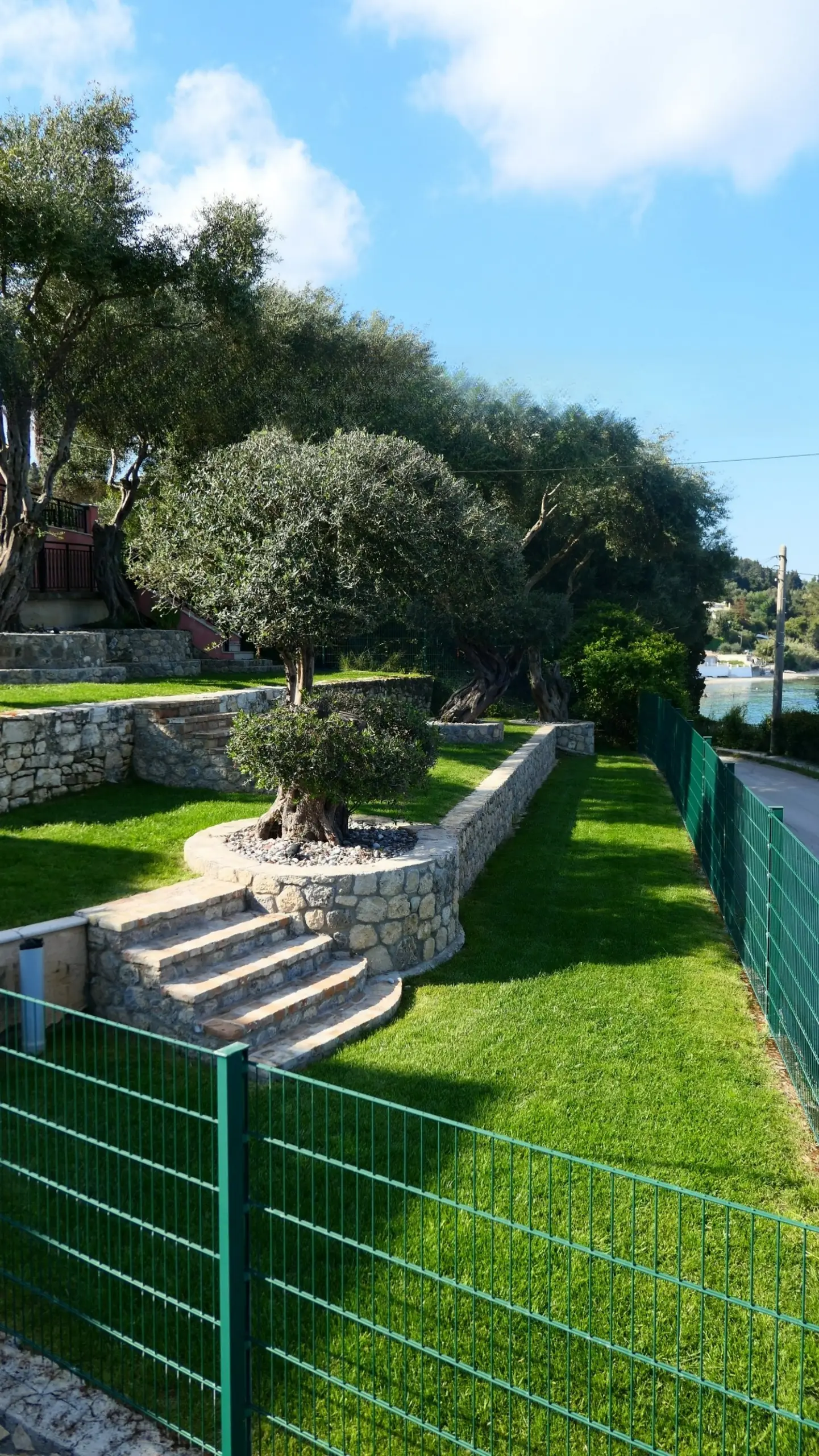 Chillout Luxury Apartments Korfu – Gartentreppe mit Olivenbaum